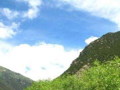 延長(zhǎng)石油集團(tuán)召開氫能產(chǎn)業(yè)規(guī)劃研討會(huì)