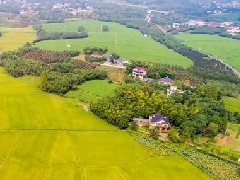 智慧園區(qū)規(guī)劃 | 產(chǎn)業(yè)園區(qū)該如何應(yīng)對突發(fā)公共事件？
