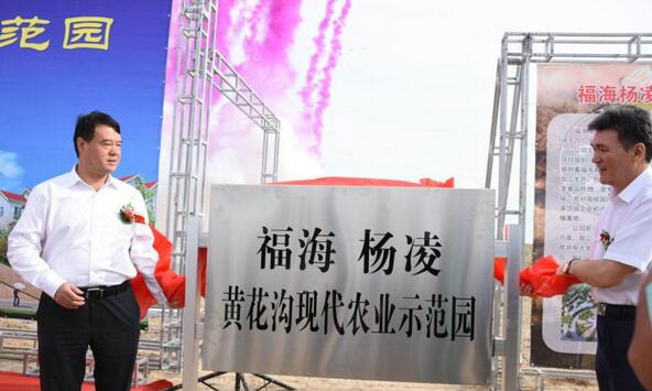 新疆福?？h攜手楊凌高新區(qū)打造中國高緯度農(nóng)業(yè)示范基地