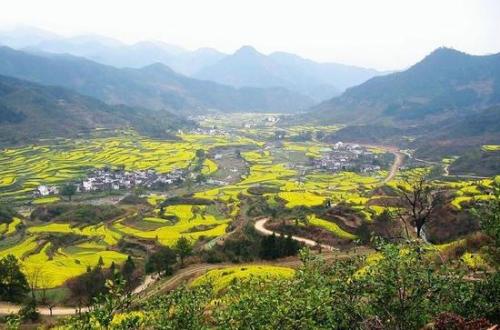 河南周口經(jīng)濟開發(fā)區(qū)：砥礪奮進譜寫轉型高潮