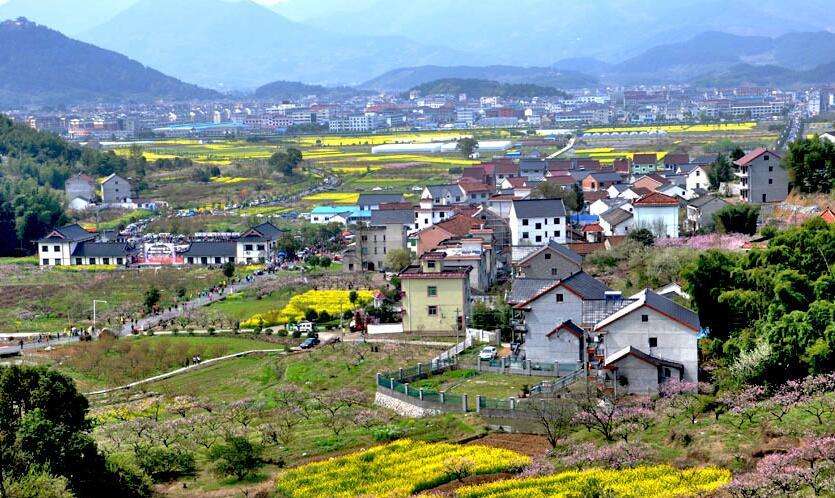 陳文勝：鄉(xiāng)村振興的資本、土地與制度邏輯