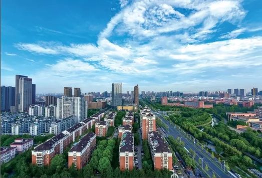 嘉興經開區(qū)大力推進“綠城花海”建設