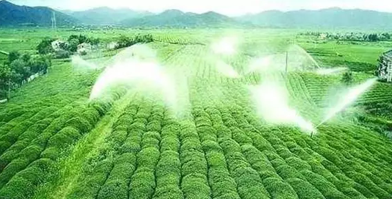 重磅！2019中央一號文件即將發(fā)布！大農業(yè)領域迎來新機遇