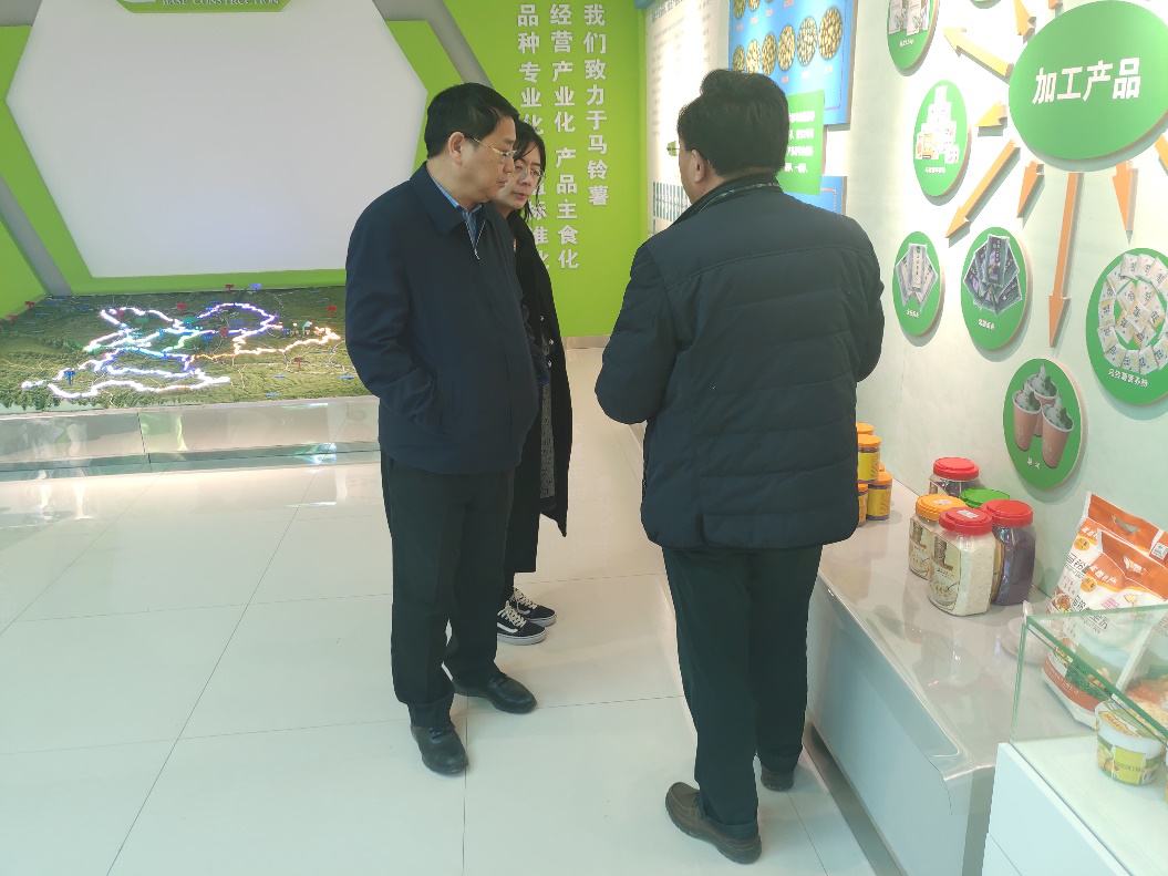 “中國薯都”再奏新旋律，定西市安定區(qū)開啟馬鈴薯產(chǎn)業(yè)發(fā)展新篇章