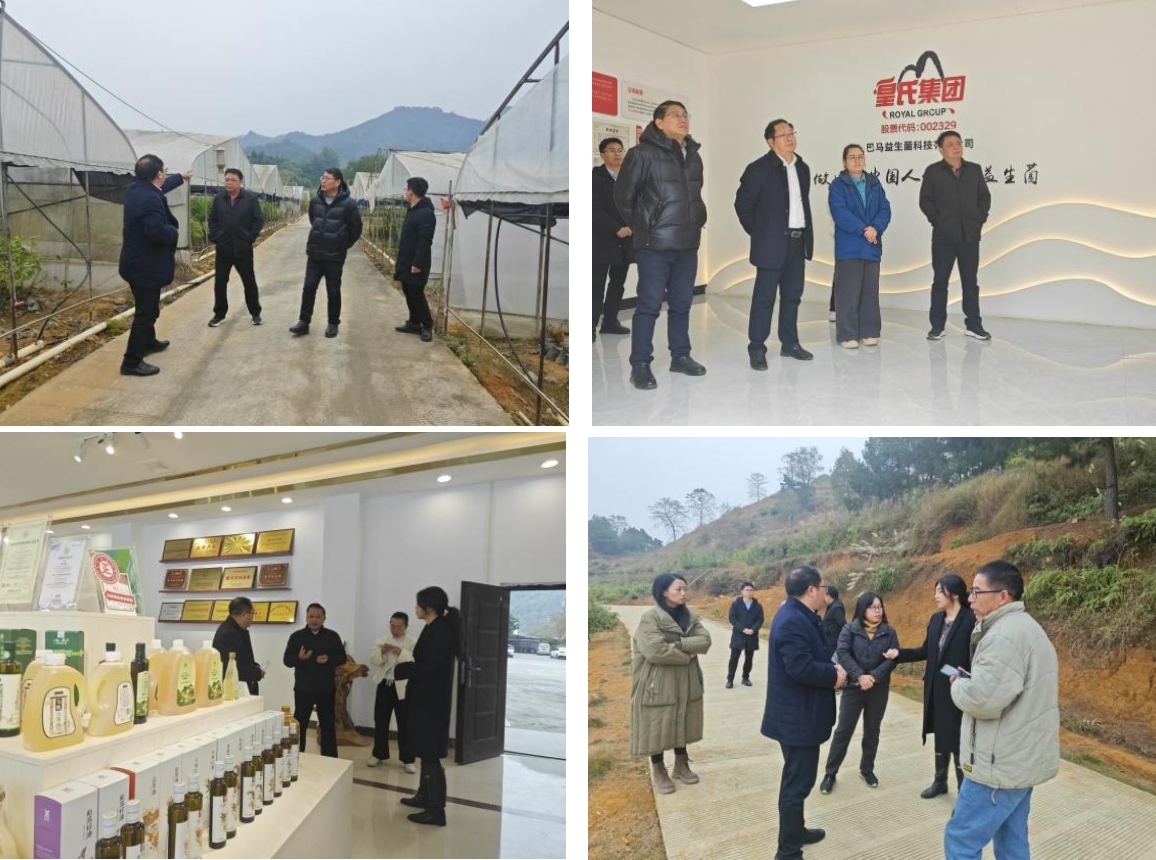 長壽之鄉(xiāng)，逐路之行——高新院專家組一行赴廣西巴馬瑤族自治縣開展河池農(nóng)高區(qū)創(chuàng)建調(diào)研